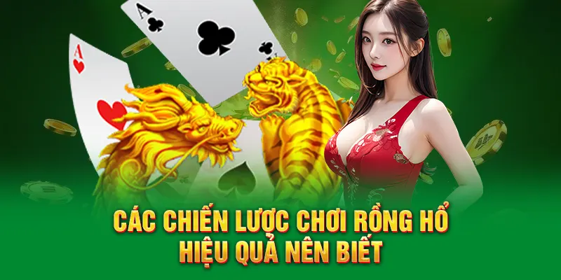 Các chiến lược chơi Rồng hổ hiệu quả nên biết